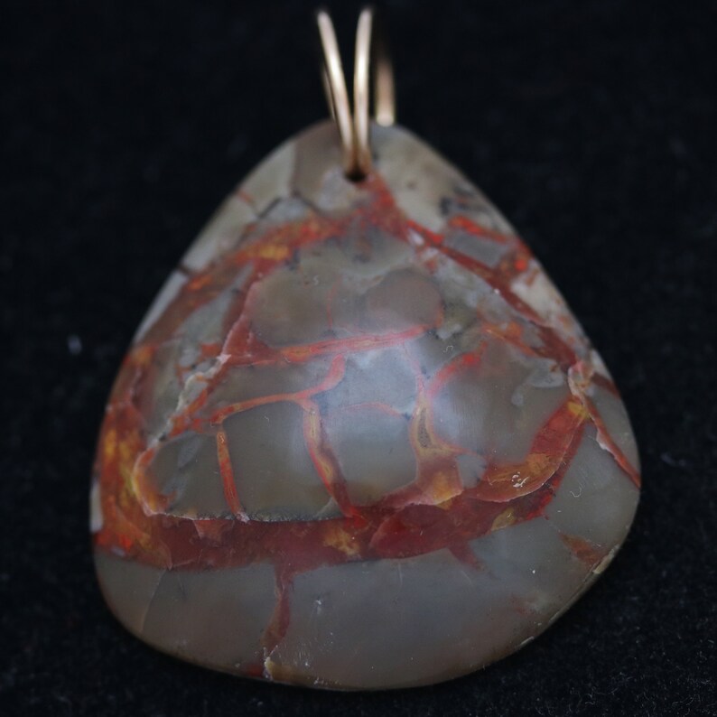 Natural Coprolite Pendant Fossilized Dinosaur Dung Brown - Etsy