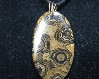 Stromatolite Pendant Gold Coiled Bail 104ct