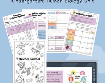 Kindergarten Science and Technology Unit | Term One: Human Biology - Exploring my Senses