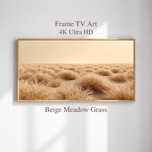 May include: A framed print depicting a field of beige meadow grass under a golden sky. The artwork is labelled "Frame TV Art" and "4K Ultra HD". The text "Beige Meadow Grass" is displayed below the image.