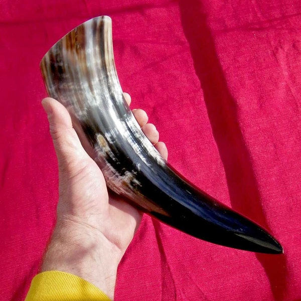 Polished Waterbuffalo Horn - C