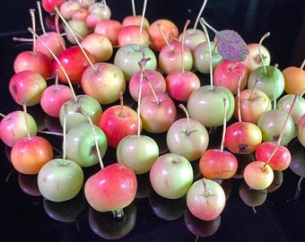 3D-siliconenvorm appels: voor kaarsen, zeep en pleisterwerk. Flexibele zachte mal, eenvoudig uit de vorm te halen