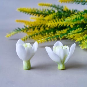 Può includere: Due fiori bianchi di bucaneve con steli verdi e centri gialli sono a fuoco, sullo sfondo di un fogliame giallo e verde. I fiori sono in piena fioritura, mostrando i loro delicati petali.