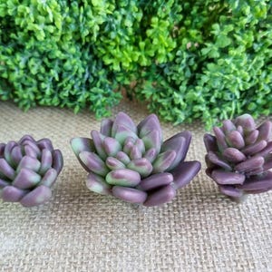 May include: Three artificial succulent plants in shades of purple and green are arranged on a textured surface. The faux plants are in the foreground, with a backdrop of green foliage.