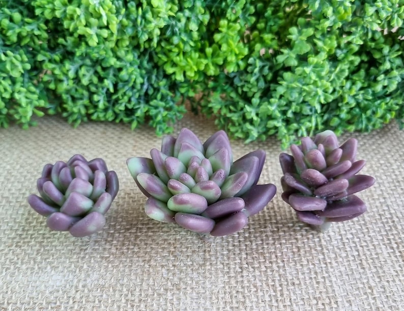 May include: Three artificial succulent plants in shades of purple and green are arranged on a textured surface. The faux plants are in the foreground, with a backdrop of green foliage.