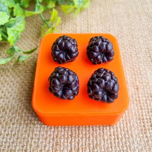 Pode incluir: Quatro objetos roxos escuros em forma de amora-preta estão em um recipiente quadrado laranja brilhante. As amoras-pretas têm uma superfície texturizada. O recipiente está em uma superfície bege com galhos de folhas verdes ao fundo.