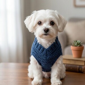 Pode incluir: Um c&atilde;o pequeno e branco usando um su&eacute;ter azul marinho com decote em V. O c&atilde;o est&aacute; sentado em uma mesa de madeira. Uma pequena planta em vaso e livros est&atilde;o ao fundo.