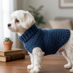 May include: A small white dog wearing a navy blue, hand-knitted dog sweater with a turtleneck collar. The dog is standing on a wooden surface, with a small potted plant and books in the background. The sweater is a solid color.