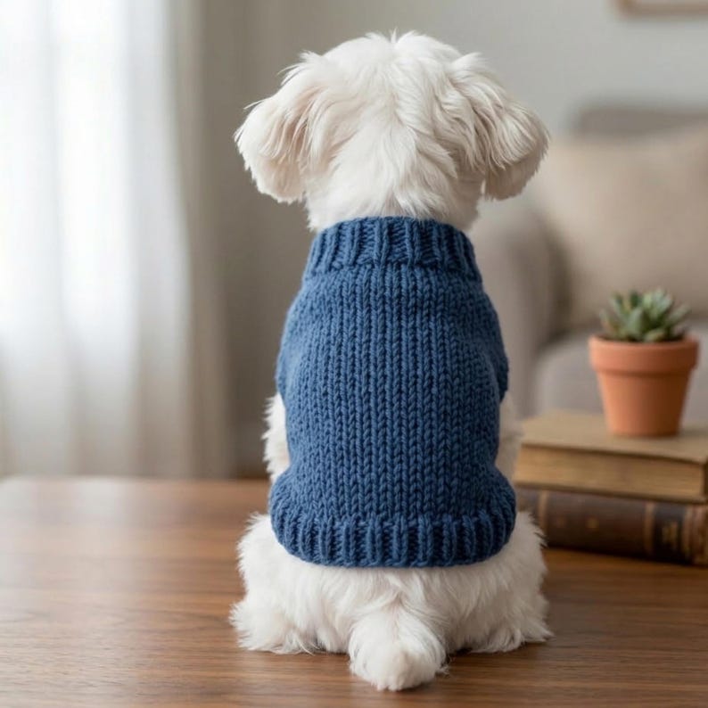 Pode incluir: Um c&atilde;o branco pequeno usando um su&eacute;ter azul de malha, visto por tr&aacute;s. O su&eacute;ter tem uma gola canelada e um padr&atilde;o de malha texturizada. O c&atilde;o est&aacute; sentado em uma superf&iacute;cie de madeira, com uma planta e livros ao fundo.