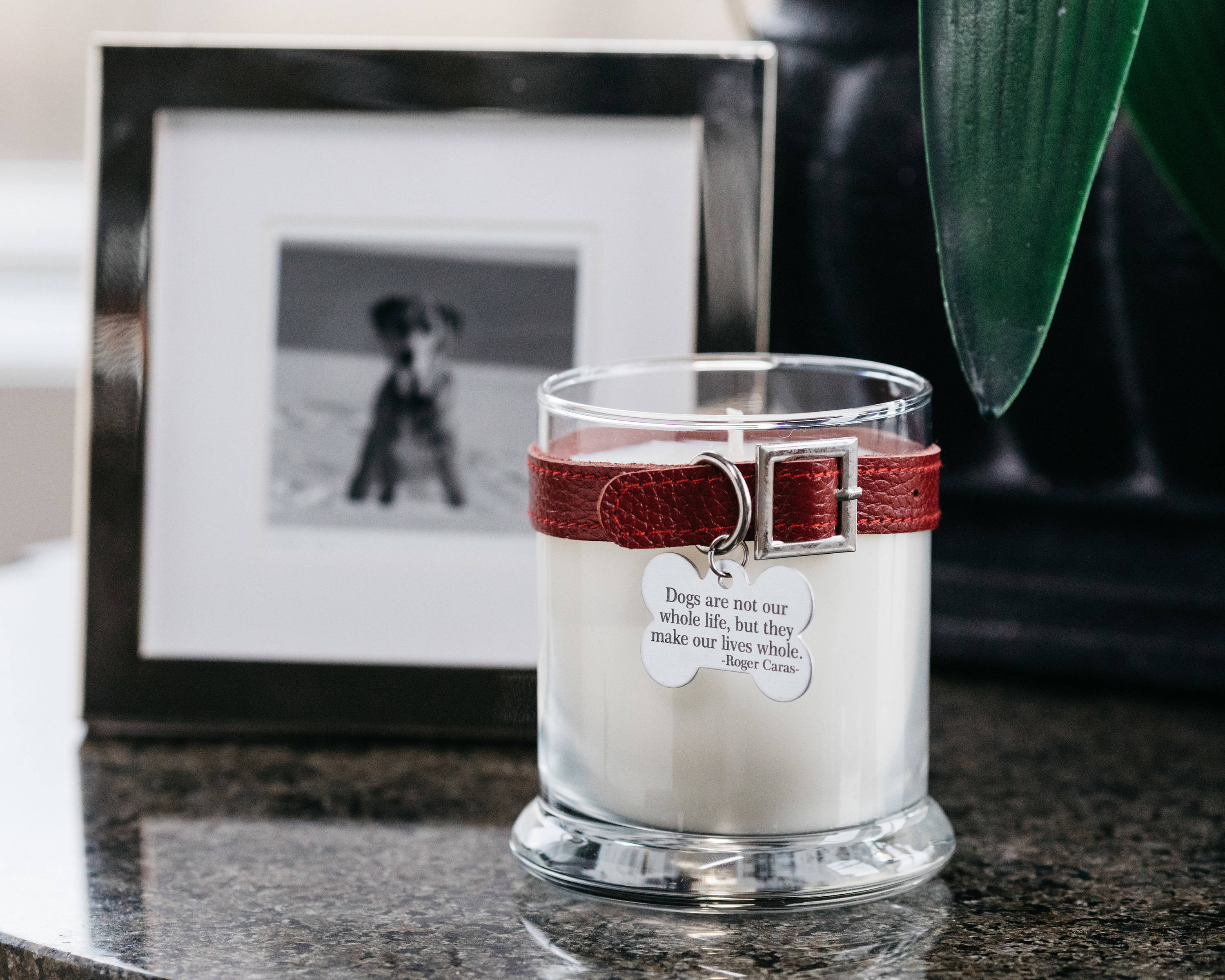 Maggie's Light™ Dog Memorial Candle 12.5 oz Pet Sympathy Etsy