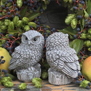 May include: Two gray owl statues with detailed feather textures, perched on stone bases. The owls are set against a backdrop of green hops, berries, and yellow apples, creating a rustic, nature-inspired scene. Ideal for home decor.