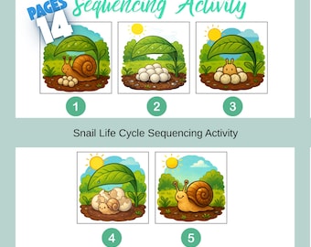 Attività di sequenziamento del ciclo di vita della lumaca, storia educativa per insegnare le abilità di sequenziamento