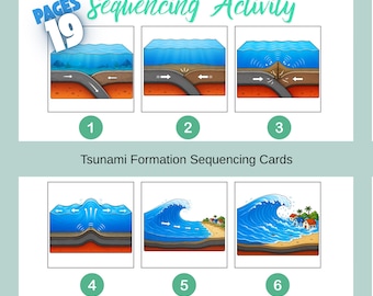 Digestive System Sequencing Activity , Human Digestion Printable Cards