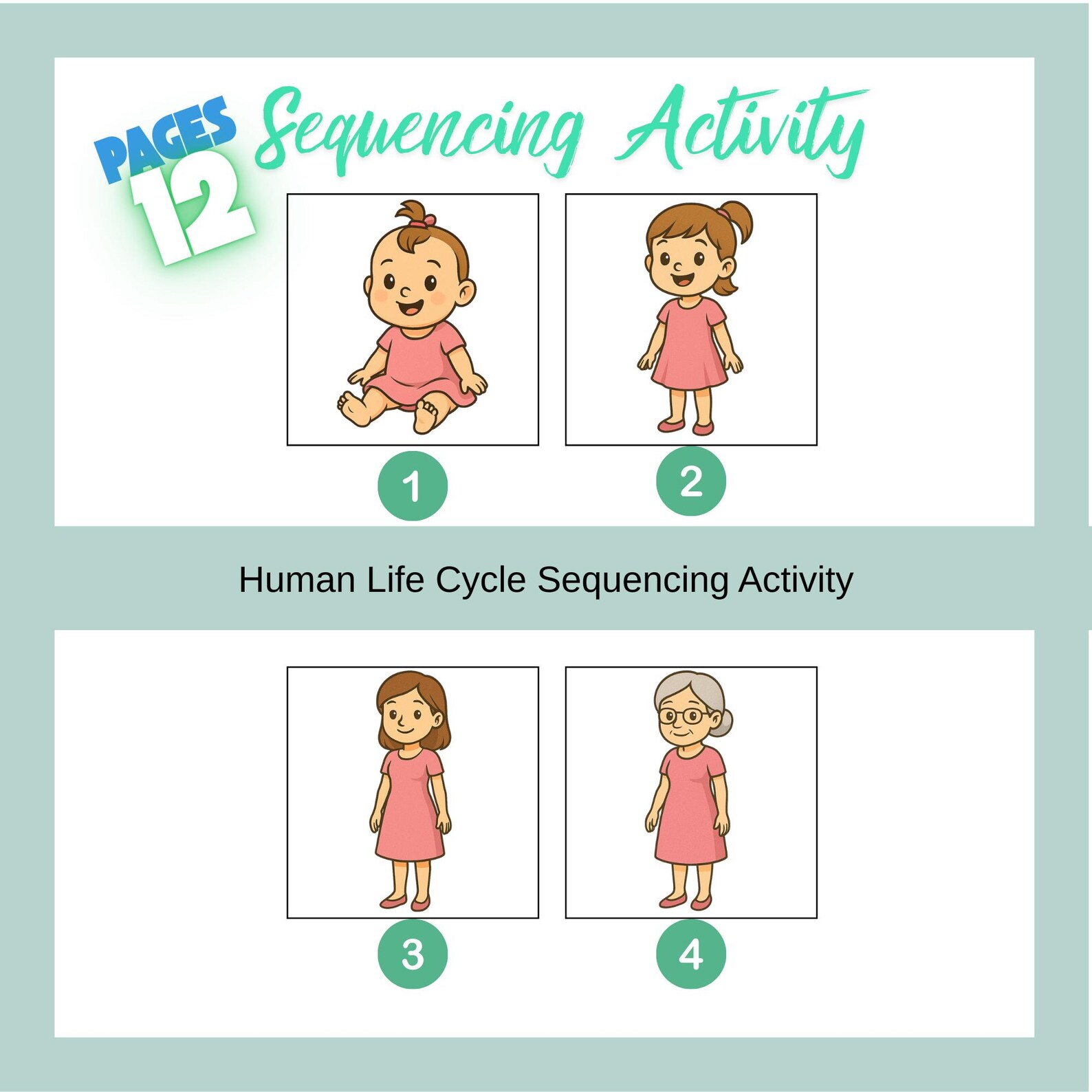 Human Life Cycle Sequencing Activity for Kids, Printable Story Cards ...