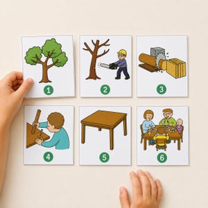 May include: A set of six square educational cards illustrating the lifecycle of wood, from a green tree to a finished table, with numbered green circles from one to six. Each card features a colourful cartoon depicting logging, milling, assembly, and family use.
