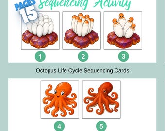 Tarjetas de secuenciación del ciclo de vida del pulpo, cuento educativo para enseñar habilidades de secuenciación.