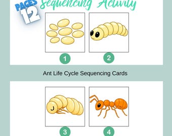 Ant Life Cycle Sequencing Activity for Kids, Printable Story Cards