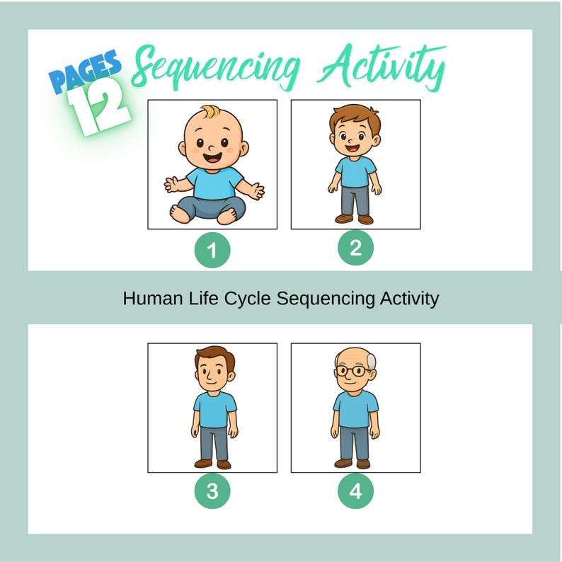 Human Life Cycle Sequencing Activity for Kids, Printable Story Cards ...