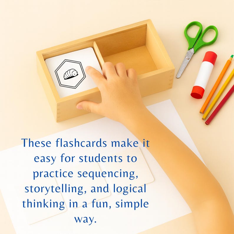 Bee Life Cycle Sequencing Activity for Kids, Printable Science Cards - Etsy