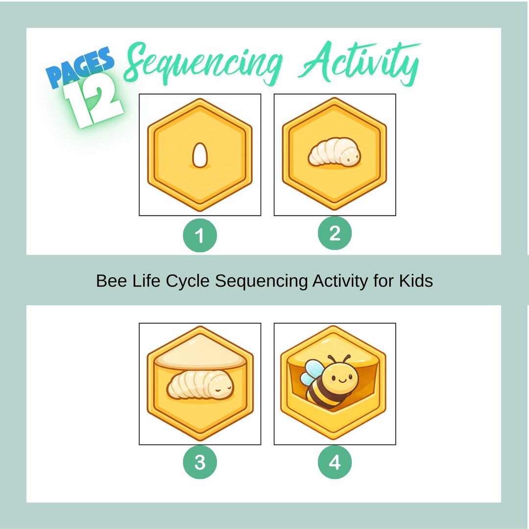 Bee Life Cycle Sequencing Activity for Kids, Printable Science Cards - Etsy