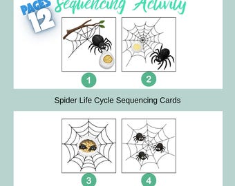 Spider Life Cycle Sequencing Activity for Kids, Printable Story Cards