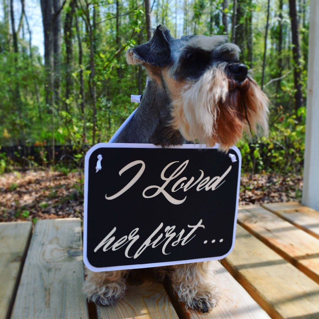 Photo props dogs wedding props photography prop dogs Etsy