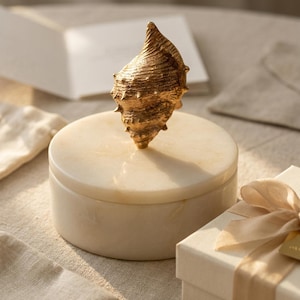 ほら貝の大理石の箱 – 彫刻的な真鍮の蓋、海岸の小物入れ