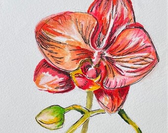 Orchid Flower Watercolor and Ink Painting -  Original Watercolor and Ink - Orchid Painting matted 8x10