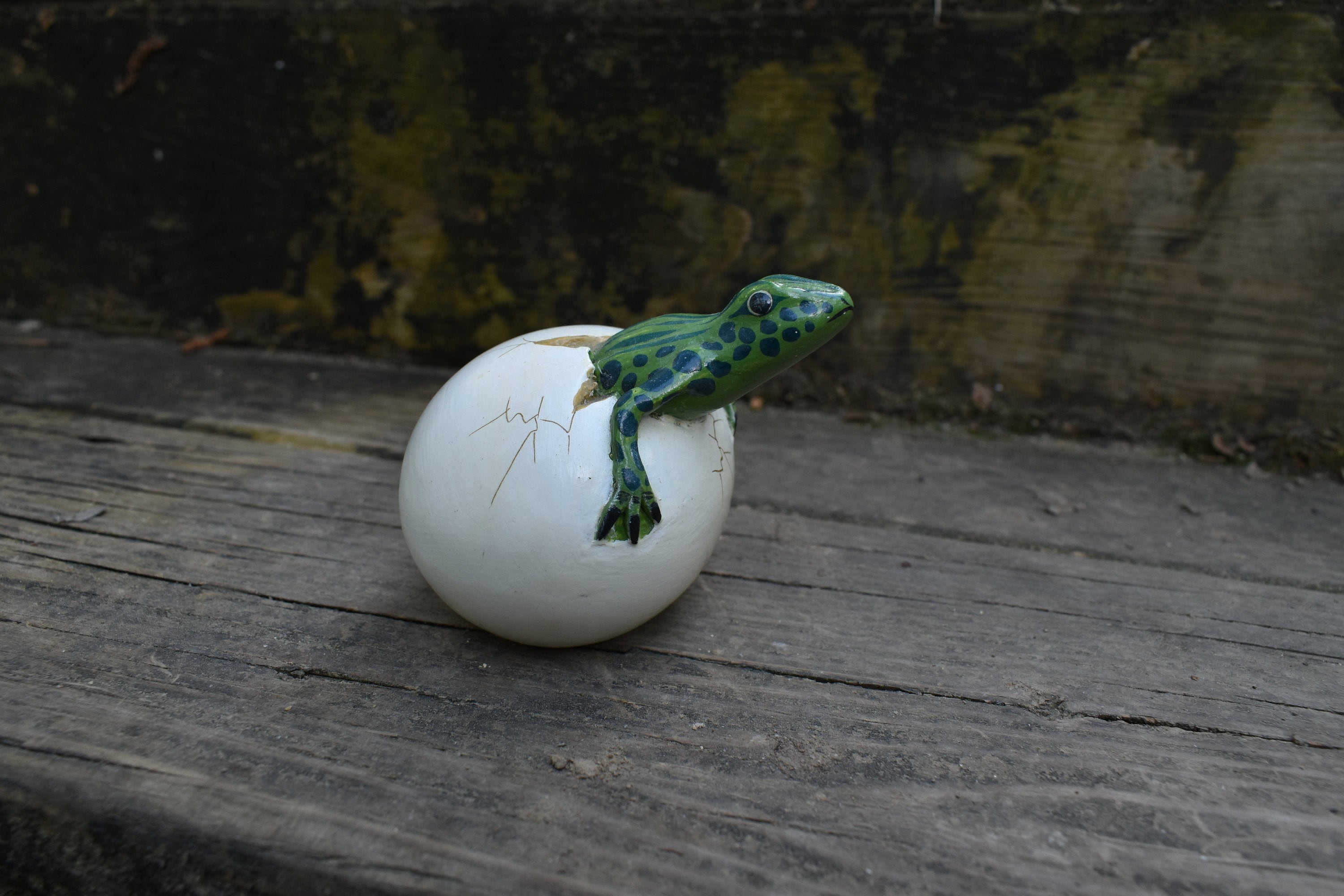 lizard hatching