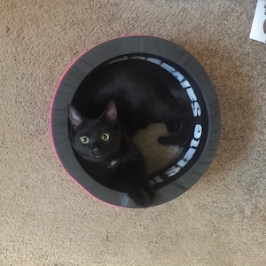 Peut inclure: Un chat noir aux yeux verts est allongé dans un lit rond pour chat. Le lit a un intérieur gris, un bord rose et du texte blanc sur le bord intérieur. Le chat regarde directement la caméra.