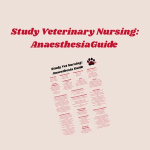 Può includere: Uno sfondo rosa con testo rosso che recita "Study Veterinary Nursing: Anaesthesia Guide". Sotto, un grafico dettagliato intitolato "Study Vet Nursing: Anaesthesia Guide" elenca argomenti di anestesia veterinaria, tra cui frequenza cardiaca e pressione sanguigna.