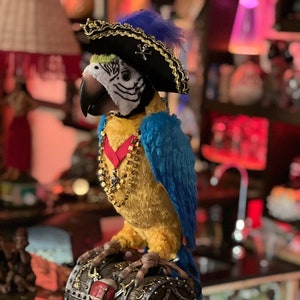 Animatronic Talking Pirate Parrot