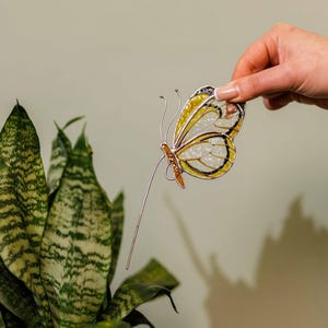 May include: A decorative butterfly with yellow, white, and brown stained glass wings. The butterfly has a silver wire body and antennae. The butterfly is held near a potted snake plant with green and yellow leaves.