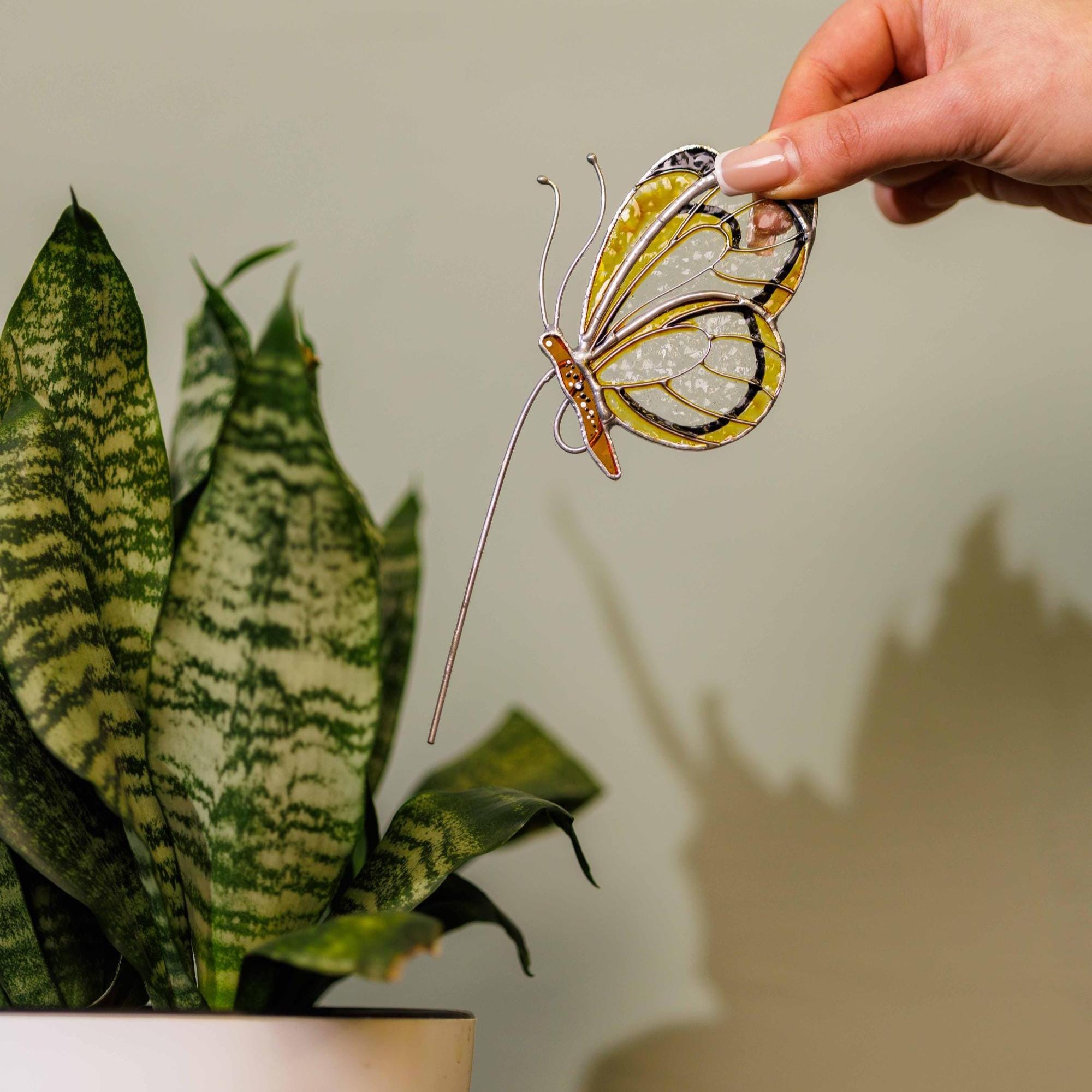 Glasswing butterfly - Etsy 日本
