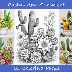 May include: A collection of cactus and succulent illustrations, some in color and others in black and white. The image includes various arrangements of cacti and succulents in pots and arrangements. Text at the top reads "Cactus And Succulent" and at the bottom "25 Coloring Pages."