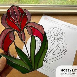 PATTERN - Iris in Bloom Beginner Stained Glass Panel Pattern - Digital Download: Hobby License