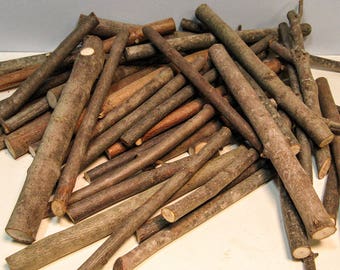 NATURAL 1/2" to 1" TWIGS / Round Twig Slices, Artist Material, Wood Parts, Wood Shapes, Twigs, Project Wood, Assemblage, Steampunk, Collage