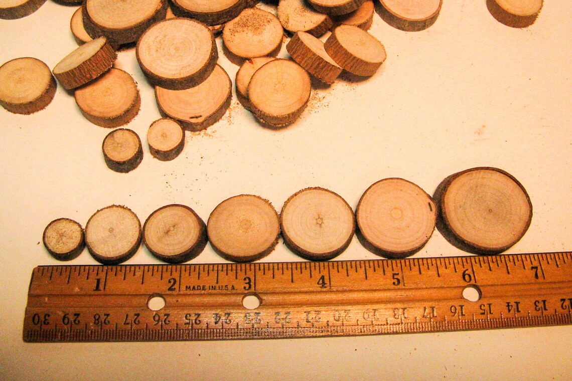 ROUND TWIG SLICES Wooden Parts Sliced Twigs Wooden Shapes Etsy