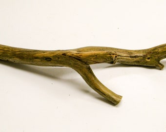 Natural Cedar Branch, Weathered Wood Wall Hanging, Shelf Ornament