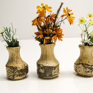 Birch Bud Vase, Rustic Wedding Decor, Dry Flower Display