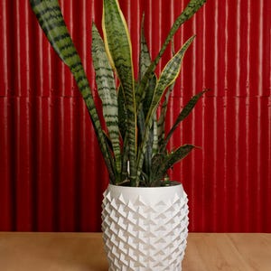 May include: A potted snake plant with long, green and yellow striped leaves. The plant is in a white geometric patterned pot. The background is a textured red wall, and the pot sits on a light brown wooden surface.