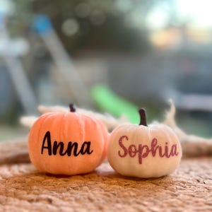 May include: Two small decorative pumpkins with dark stems. The left pumpkin is light orange with the name Anna in black script. The right pumpkin is white with the name Sophia in glittery pink script. Both pumpkins have a textured surface.
