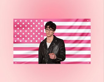 Milo Manheim Flag, ZOMBIES 4 Inspired Wall Decor, Disney Movie Tapestry, Pink American Flag Aesthetic, Hot Guy Room Art