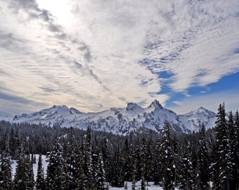 View up at Paradise, Mt. Rainier Photograh 8x10