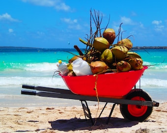 Refreshing Coconut Water at Orient Beach Photograph 8x10