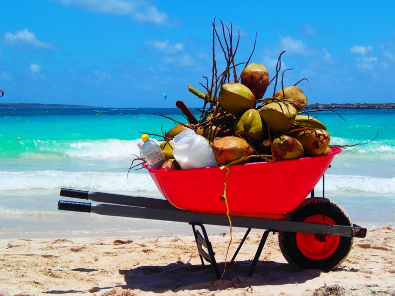 Refreshing Coconut Water at Orient Beach Photograph 8x10 image 1
