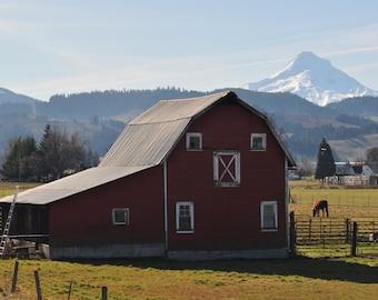 Barn & Mt Hood Photograph 8x12