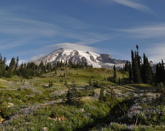 Mt Rainier from Paradise Photograph 8x10