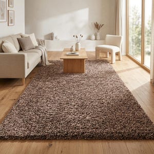 May include: A rectangular area rug with a thick, shaggy pile in a solid medium brown color. The rug features a dense, textured surface made of long, soft fibers that cover the floor in front of a light-colored sofa and a wooden coffee table.