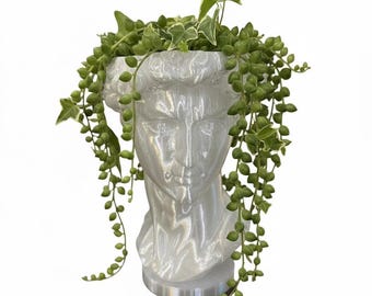 3D Printed Greek Bust Planter | Pearlescent Face Pot